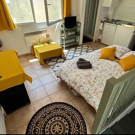 Face Au Canal Du Midi Apartamento Carcasona