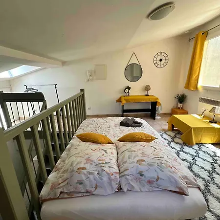 Face Au Canal Du Midi Carcasona