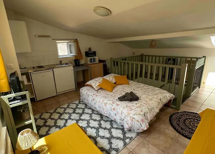 Face Au Canal Du Midi * Carcassonne