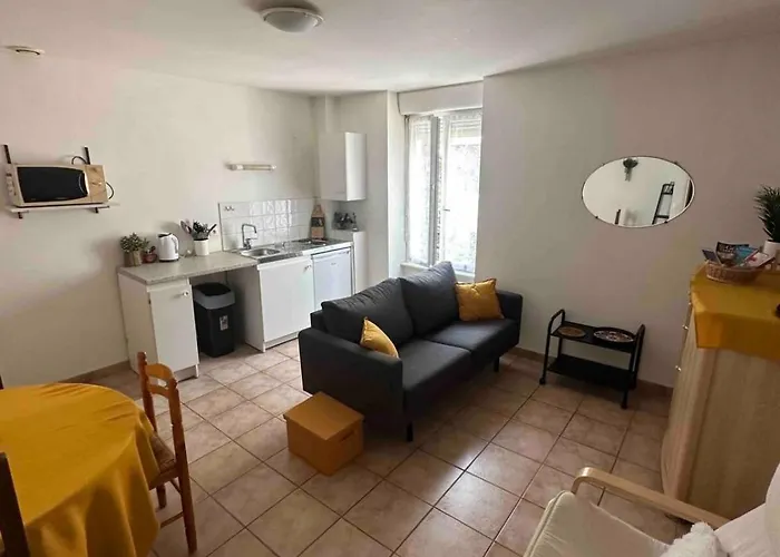 Apartment Face Au Canal Du Midi *