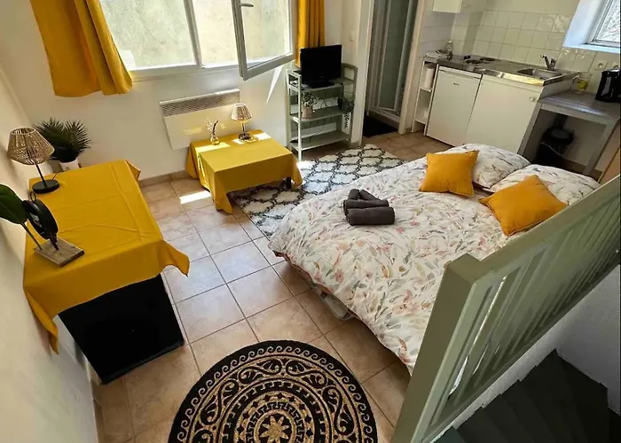 Face Au Canal Du Midi Apartment Carcassonne