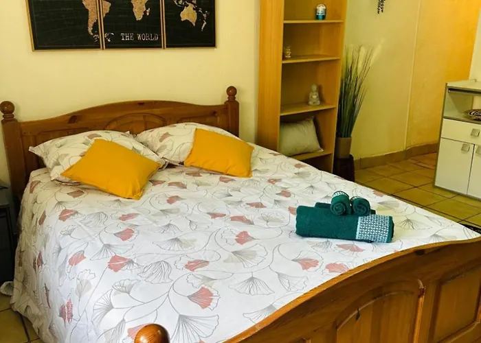 Face Au Canal Du Midi