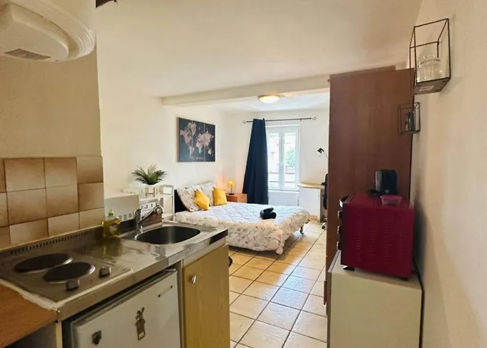 Face Au Canal Du Midi Apartment Carcassonne