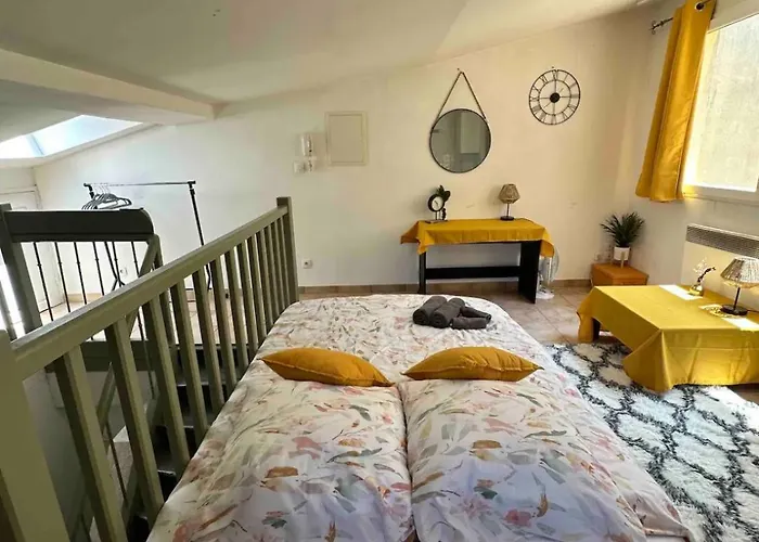 Face Au Canal Du Midi Carcassonne