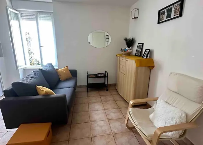 Face Au Canal Du Midi * Carcassonne