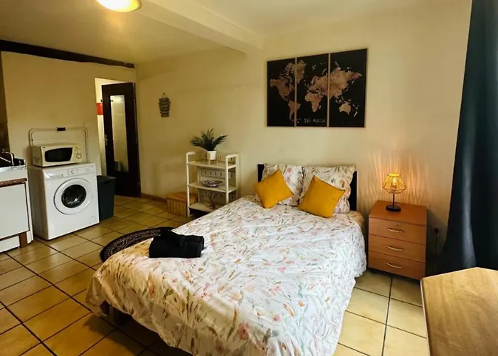 Face Au Canal Du Midi * Carcassonne